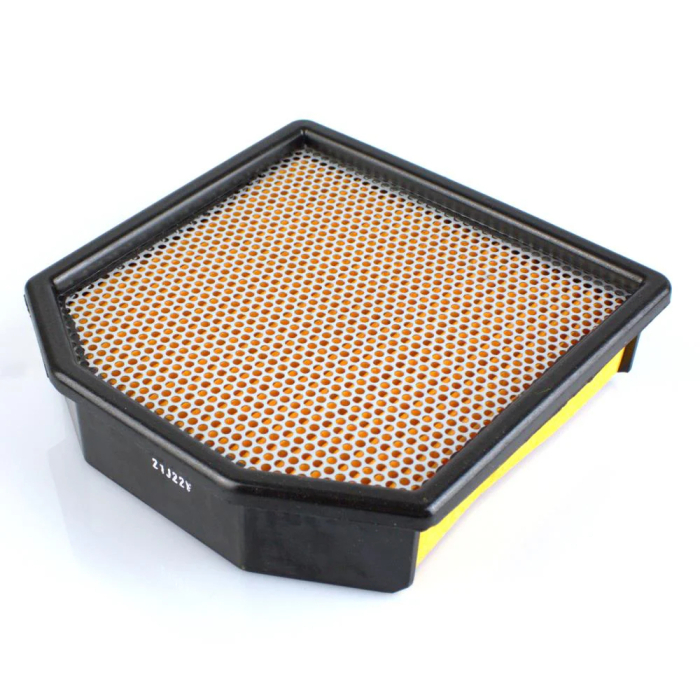 AIR FILTER ASSY - oro filtras